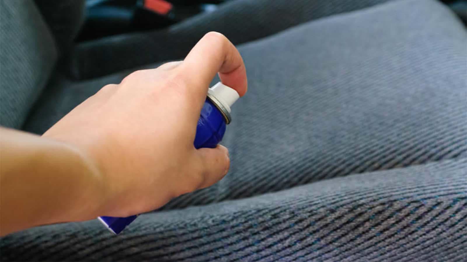 Car seat shampoo and cleaning services